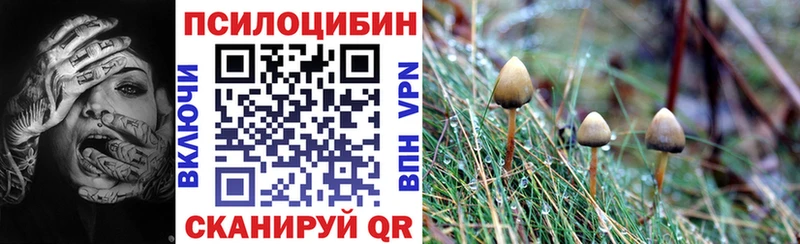 Купить где  Белебей  Псилоцибиновые грибы Magic Shrooms 